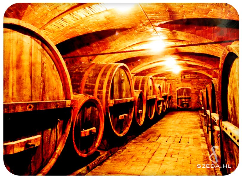 Winecaching csapatépítő program Szentendrén